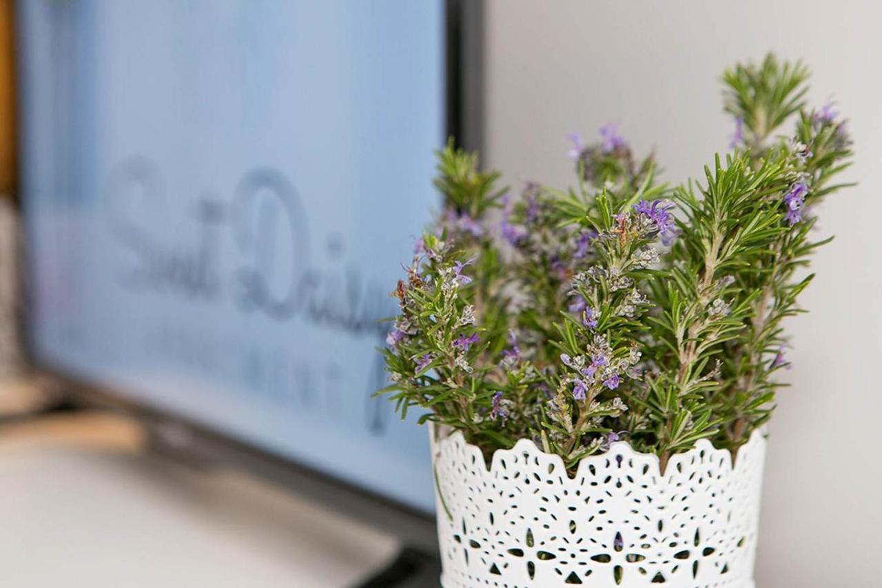 Apartment Sweet Daisy With Parking Zadar Bagian luar foto